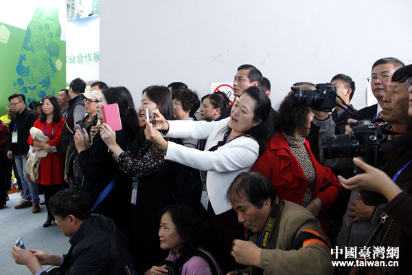 臺灣農企和台創園亮相第14屆農交會臺灣展區