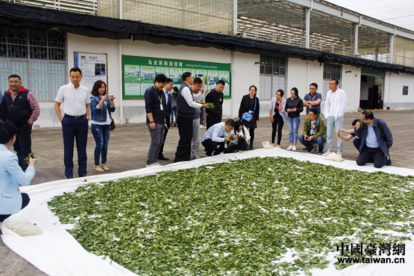 參觀鴻鼎茶廠